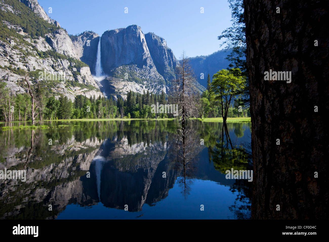 Yosemite Falls riflessa in Sentinel prati inondati dal fiume Merced - Parco Nazionale di Yosemite in California Foto Stock