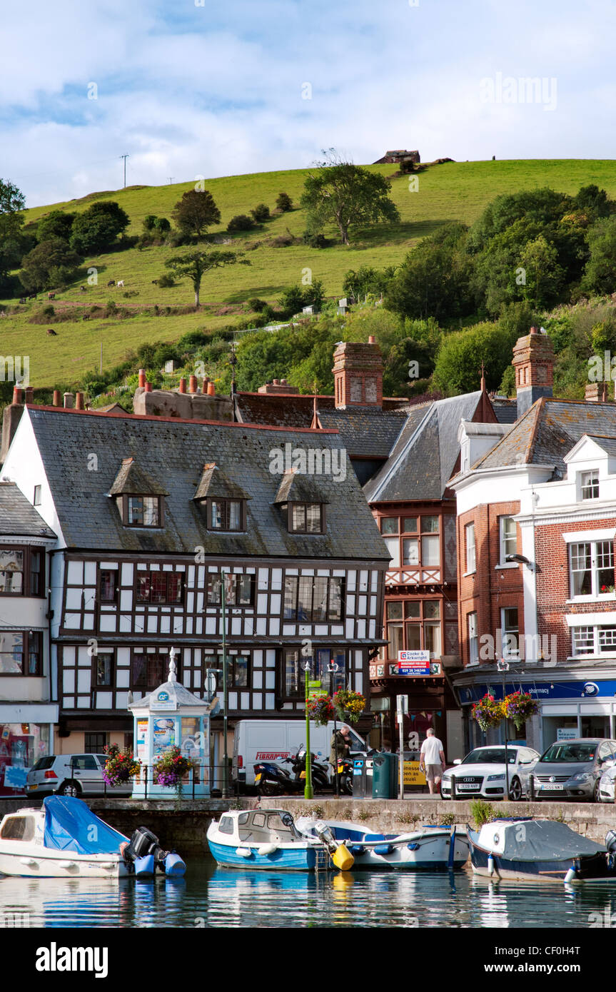 Vista su Dartmouth Marina di Darmouth town e i campi sopra riportati, Devon, Inghilterra. Foto Stock
