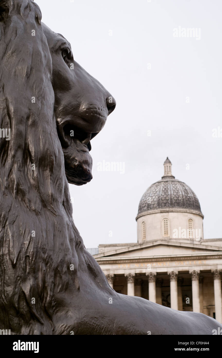 In prossimità di uno dei Lions in Trafalgar Square a Londra, Inghilterra, Regno Unito, con la Galleria Nazionale in background Foto Stock