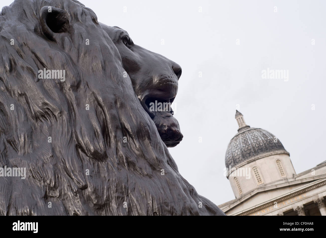 In prossimità di uno dei Lions in Trafalgar Square a Londra, Inghilterra, Regno Unito, con la Galleria Nazionale in background Foto Stock