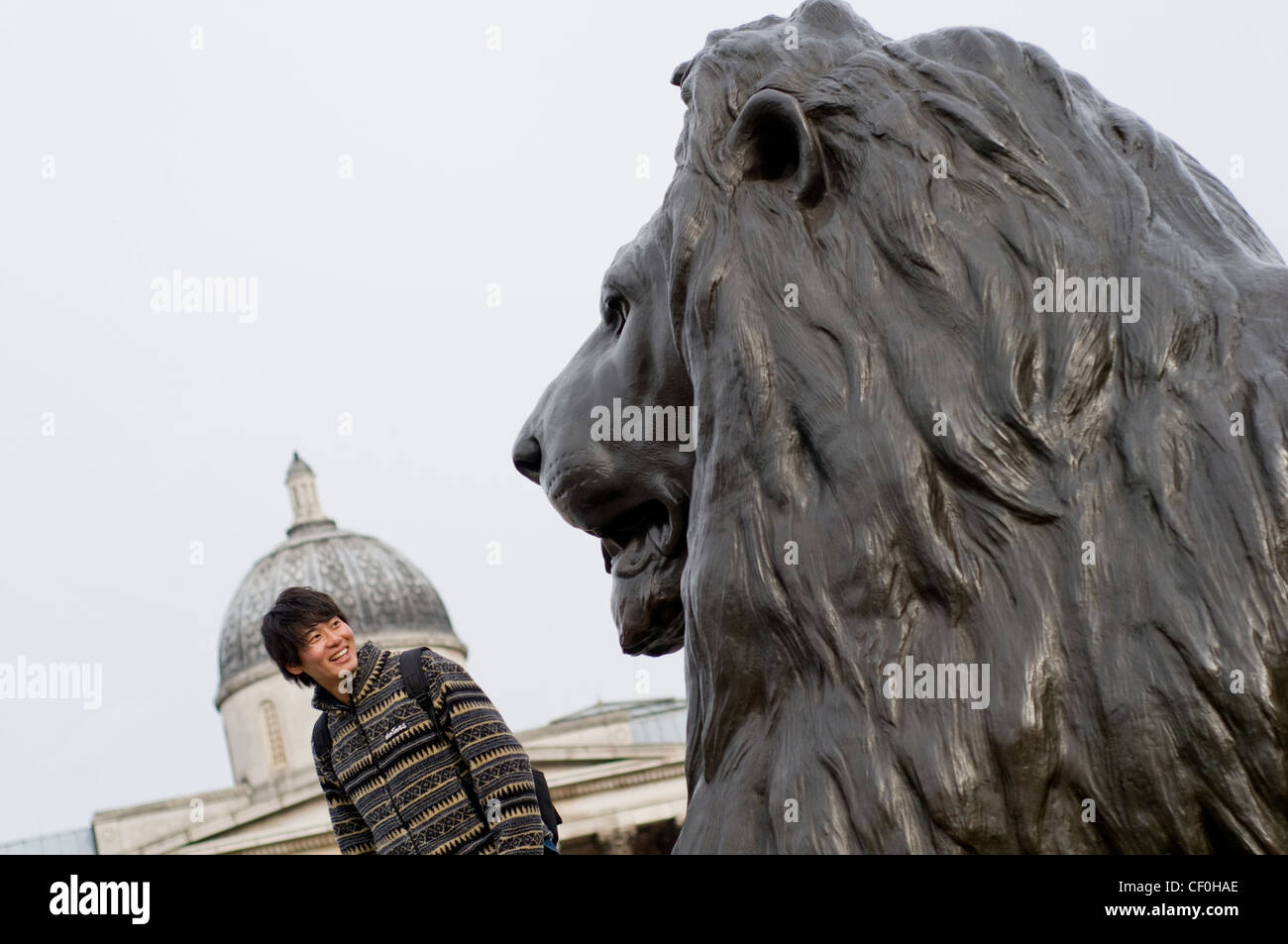 Un turista accanto a uno dei Lions in Trafalgar Square a Londra, Inghilterra, Regno Unito, con la Galleria Nazionale in background Foto Stock
