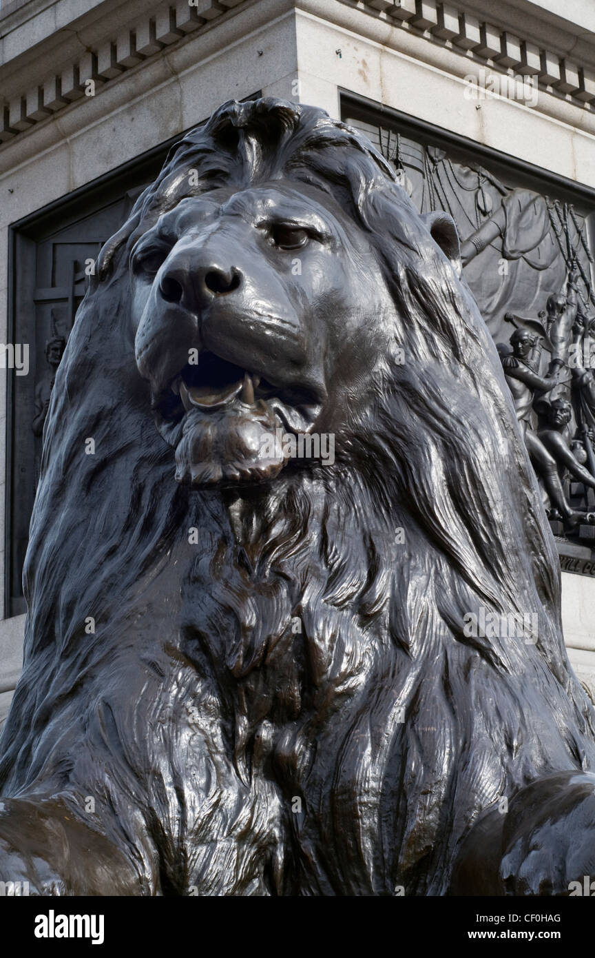 In prossimità di uno dei Lions in Trafalgar Square a Londra, Inghilterra, Regno Unito Foto Stock