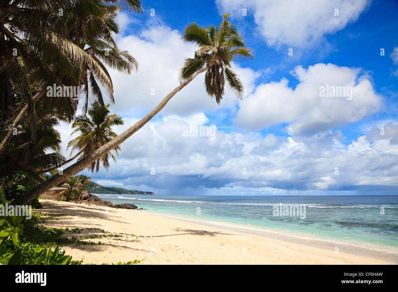 Anse Bougainville beach, Isola di Mahe, Oceano Indiano, Seicelle Foto Stock