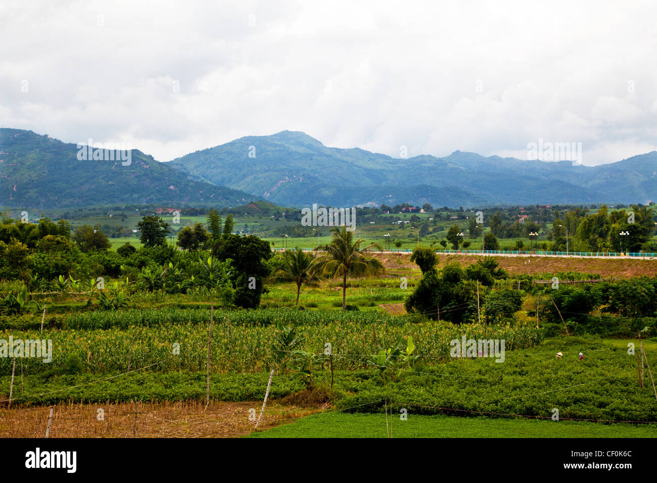Paesaggio di central Western Vietnam con risaie in primo piano Foto Stock
