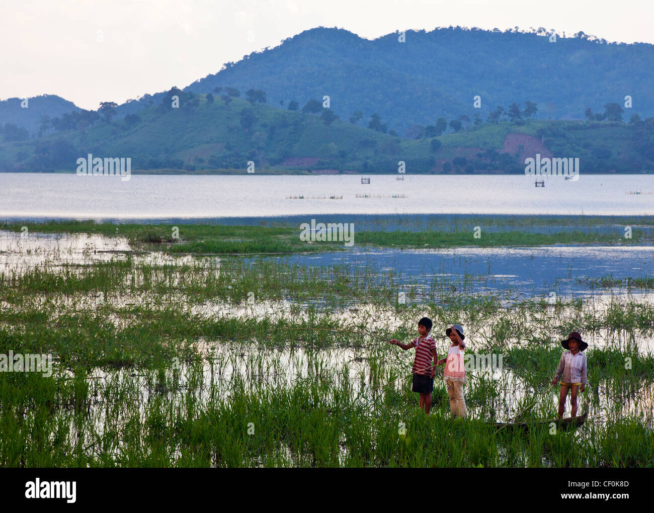 I bambini la pesca in allagato risaie accanto al lago Lak, Vietnam Foto Stock