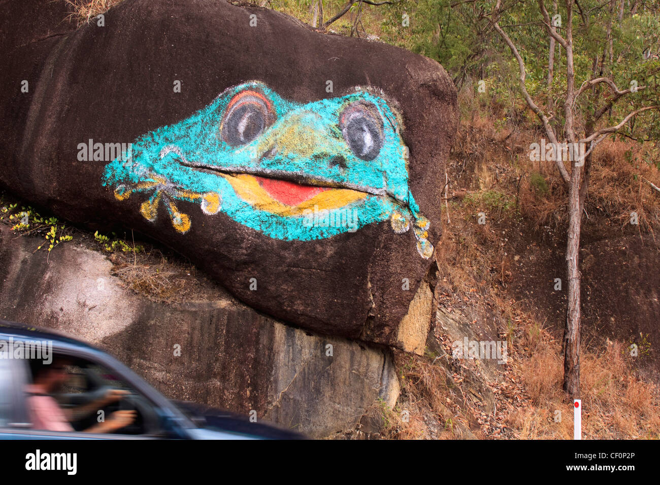 Rana Gigante Australiana Immagini E Fotos Stock Alamy