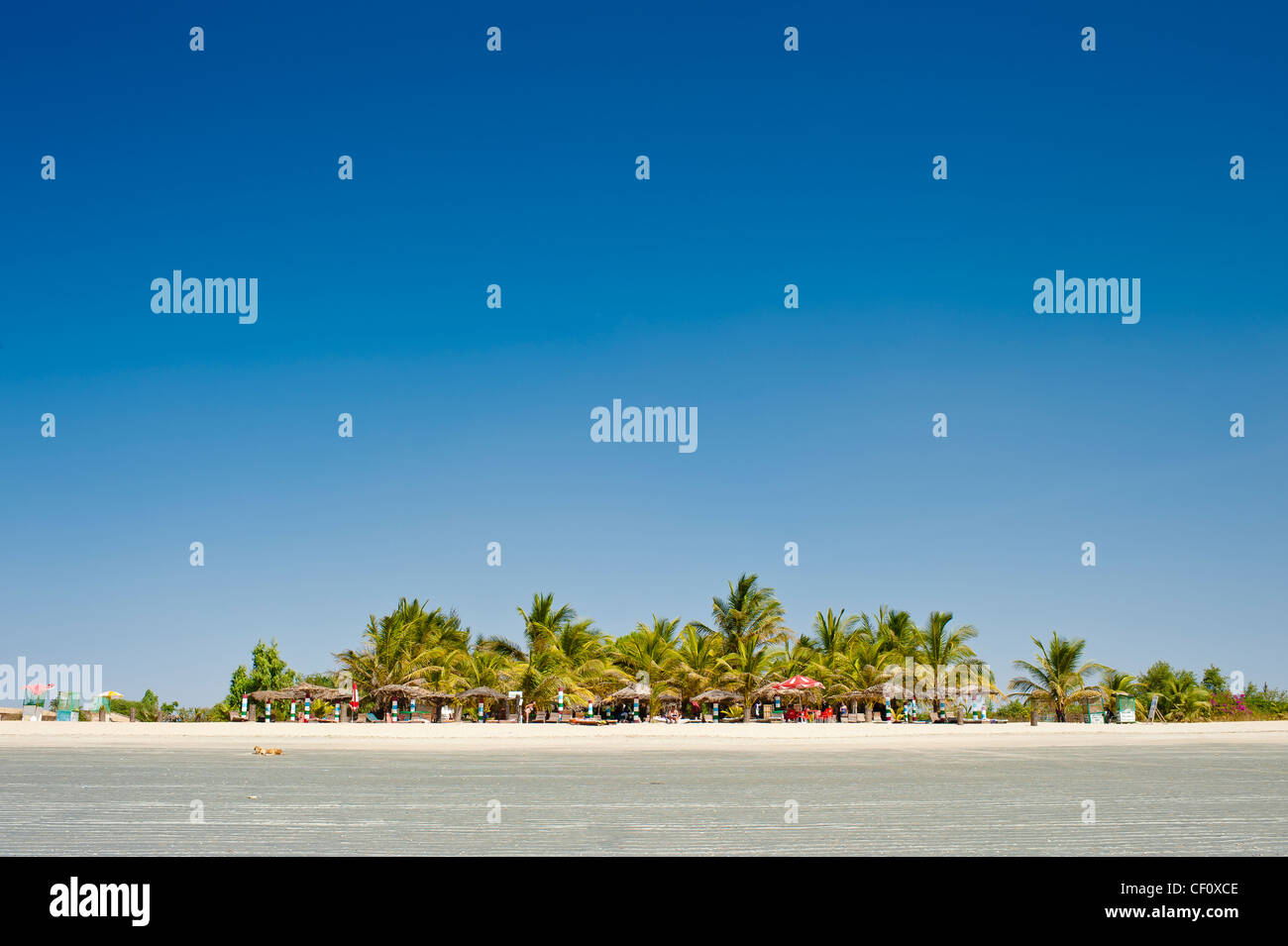 Paradise beach, Gambia, con palme e spazio di copia Foto Stock