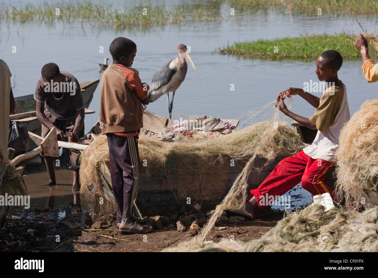I giovani pescatori pulizia e reti di piegatura. Il lago di Awasa. Etiopia. Marabou Stork (Leptoptilos crumeniferus), in attesa di avanzi di pesci Foto Stock