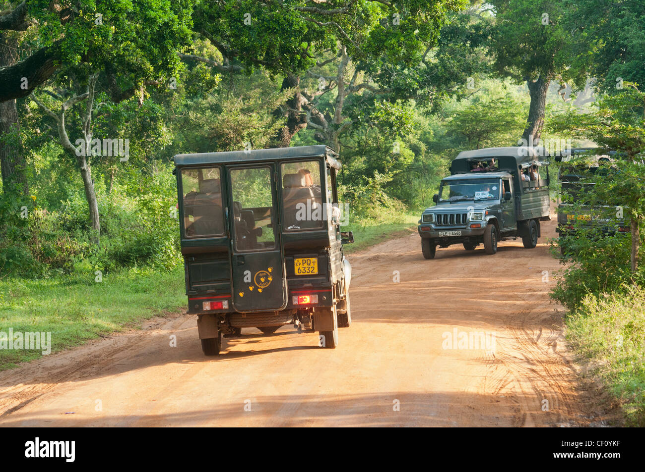 Il jeep safari nel parco nazionale Yala, Sri Lanka Foto Stock