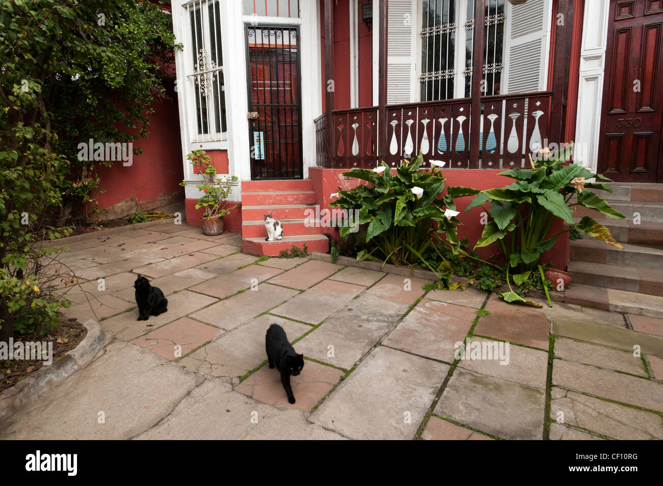 Cerro Alegre District, Valparaiso, Cile. Foto Stock