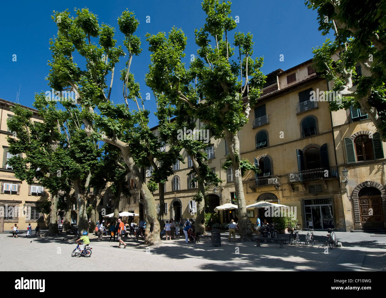 Piazza Napoleone, Lucca, Italia Foto Stock