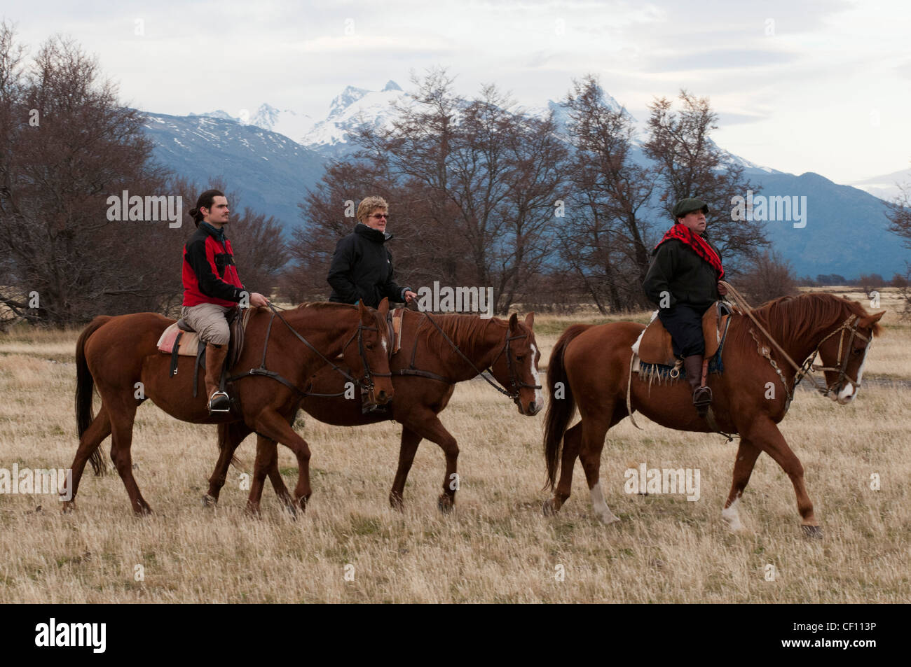 Gauchos e turistico a cavallo, il Parco Nazionale di Torres del Paine nella Patagonia cilena. Foto Stock