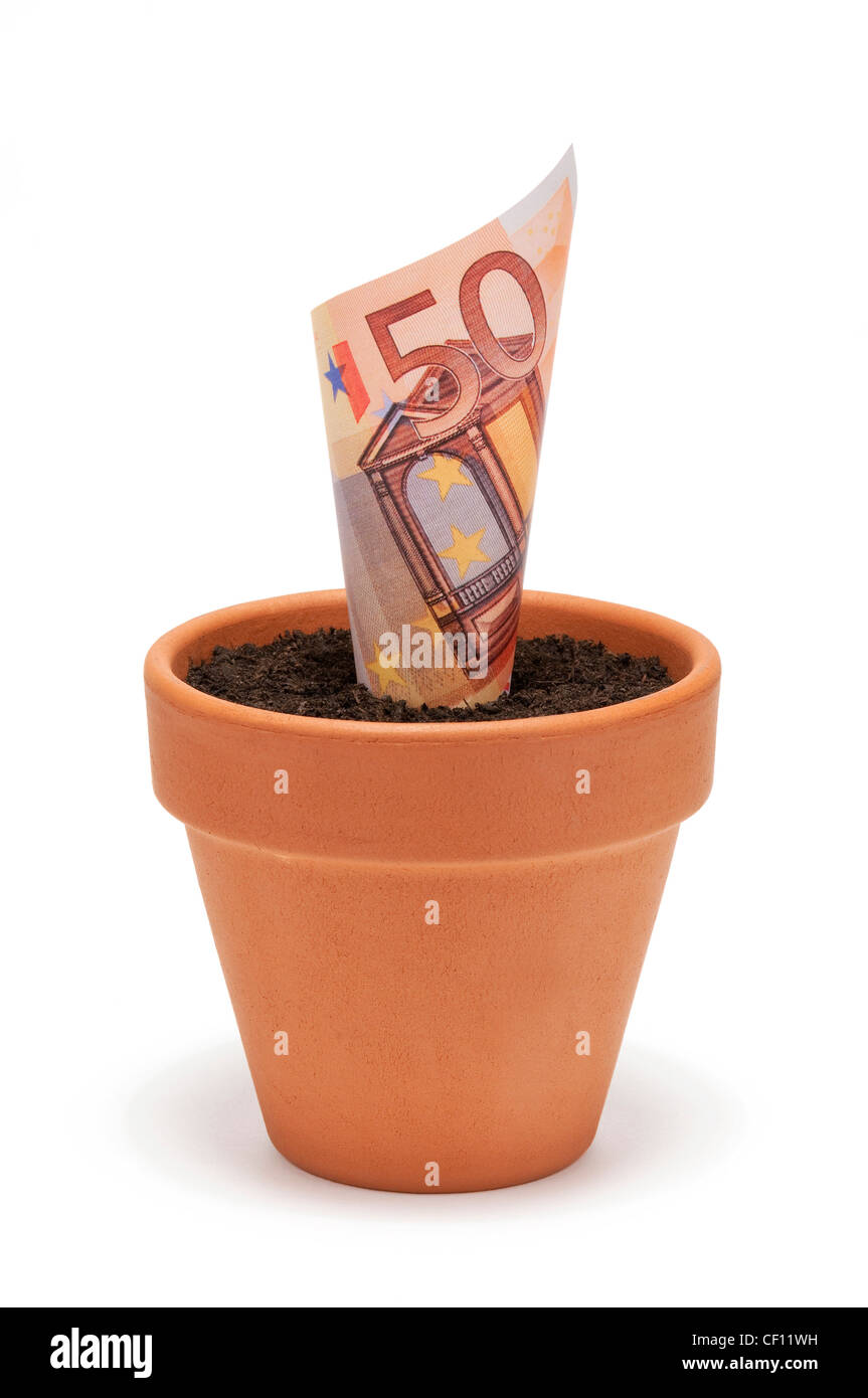 Il denaro cresce in vaso Foto Stock
