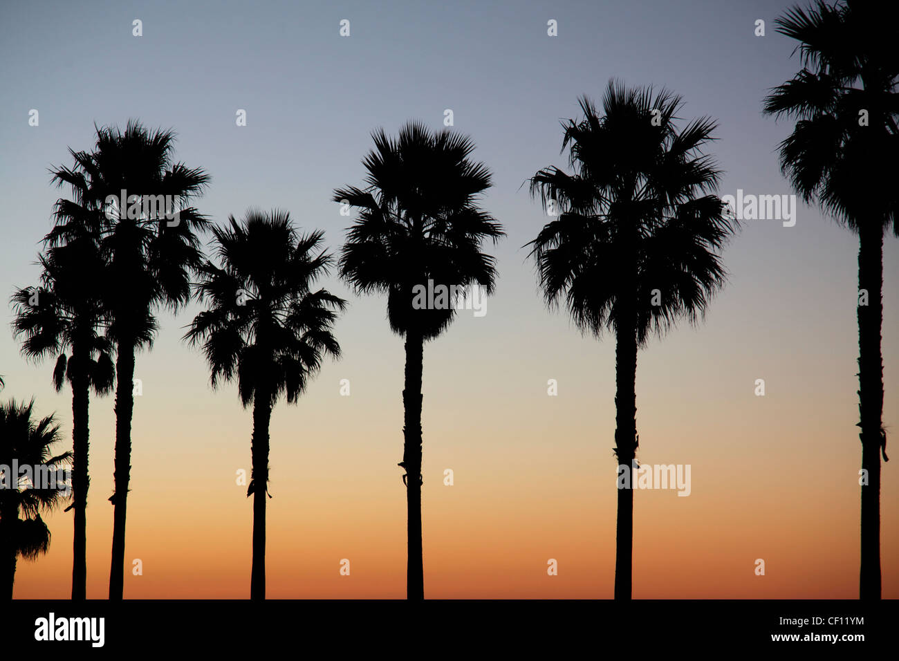 Palme , California , Stati Uniti Foto Stock