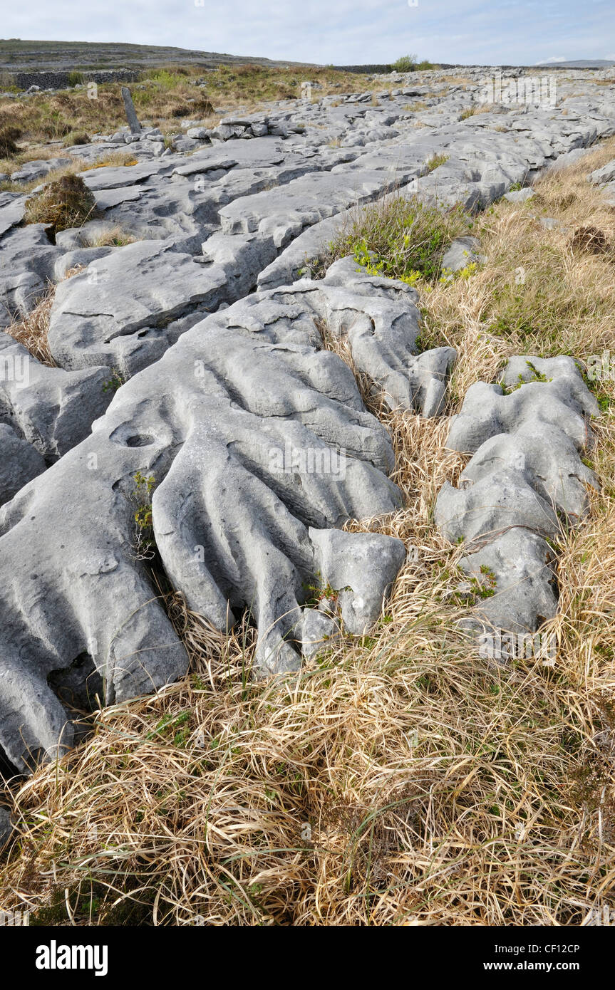 Acqua eroso lavato pavimentazione di pietra calcarea a valle Caher Foto Stock