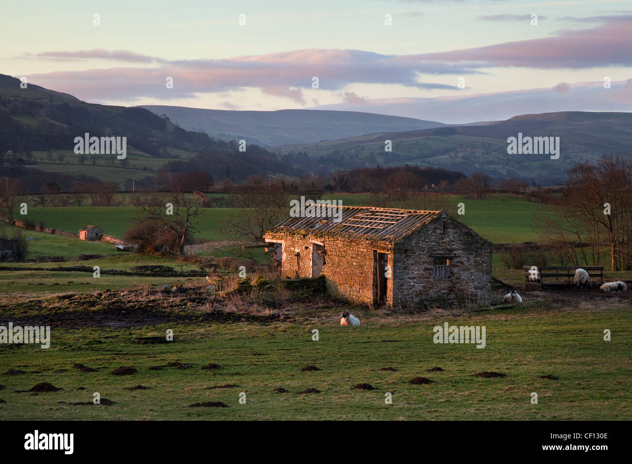 Vecchia pietra abbandonata in rovina a Bolton Castle, Swaledale, Wensleydale nel North Yorkshire Dales, Richmondshire, Regno Unito Foto Stock