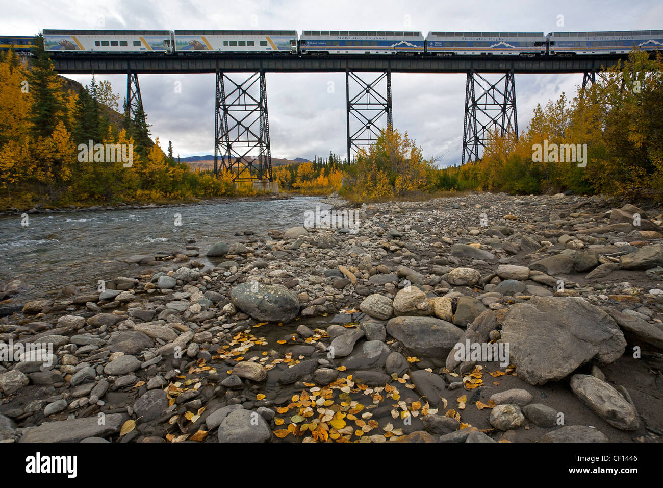La stella di Denali treno attraversando un ponte su Riley Creek. Parco Nazionale di Denali. L'Alaska. Stati Uniti d'America Foto Stock