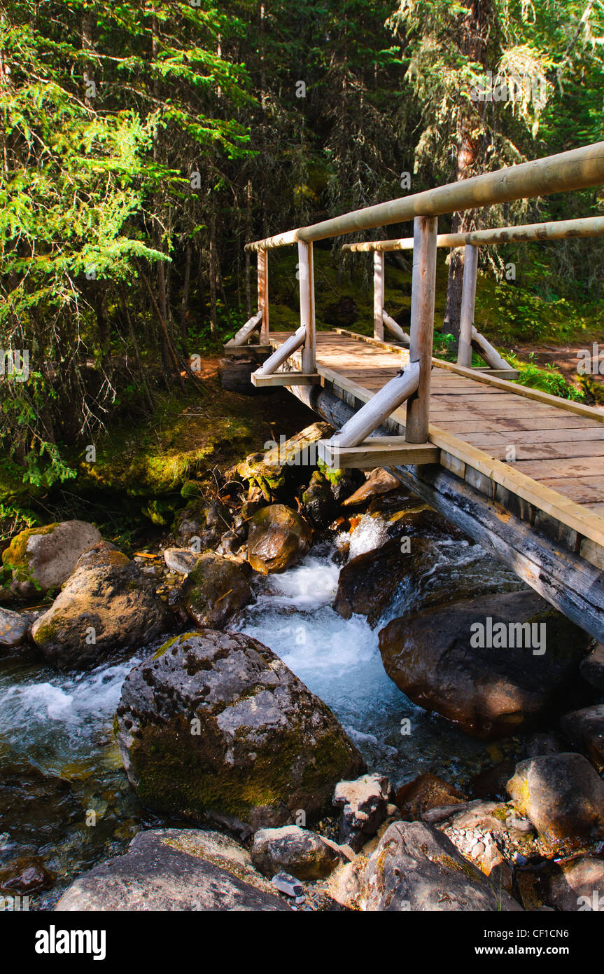 Escursionismo ponte su un fiume in montagna, Kananaskis Country Alberta Canada Foto Stock