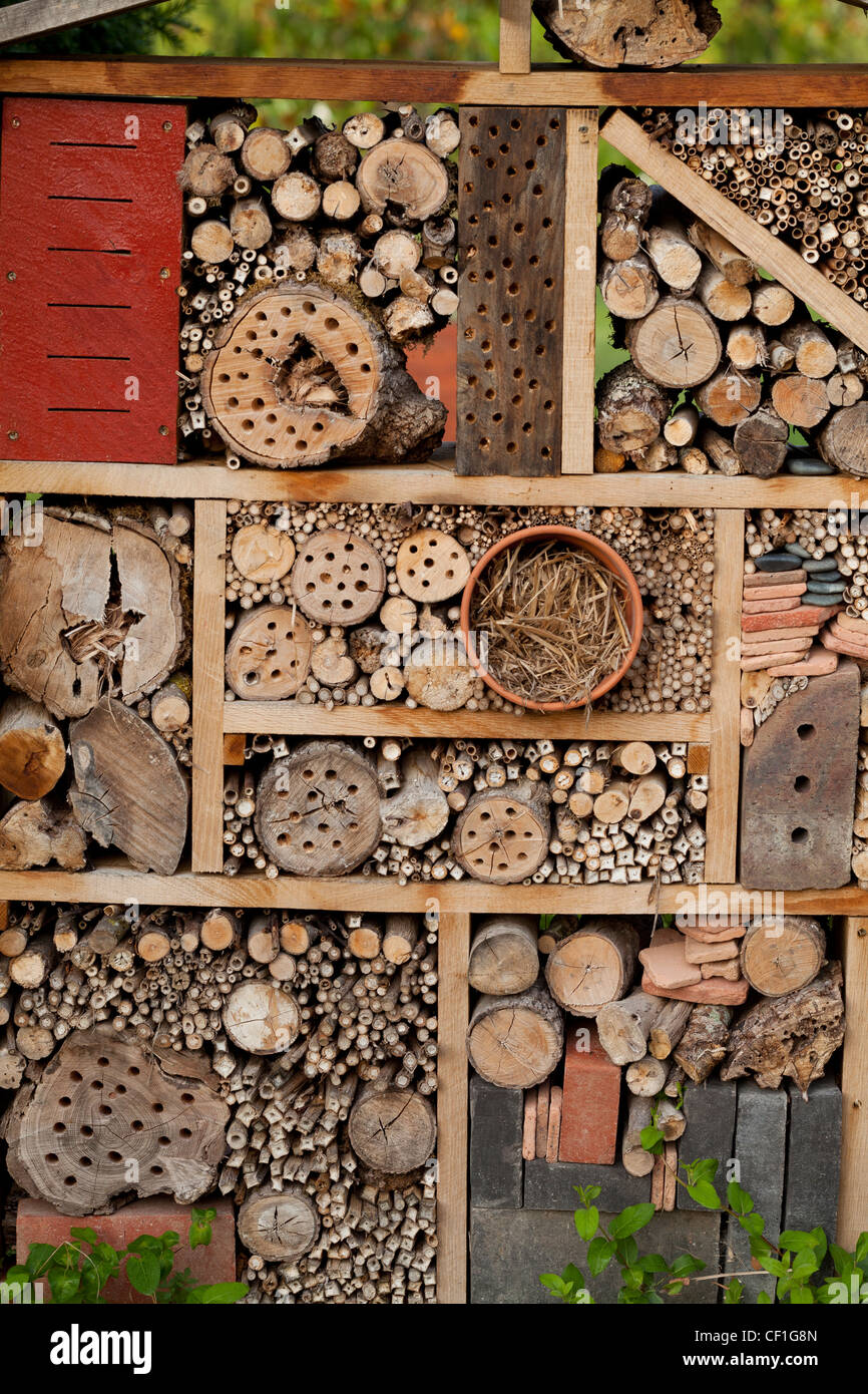 Un rifugio per gli insetti in un'orto biologico. Foto Stock