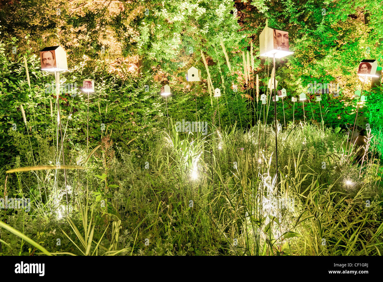 Festival International des jardins de Chaumont-sur-Loire 2010 "Jardins corps et âmes' : giardino 'Métempsycose' di notte. Foto Stock