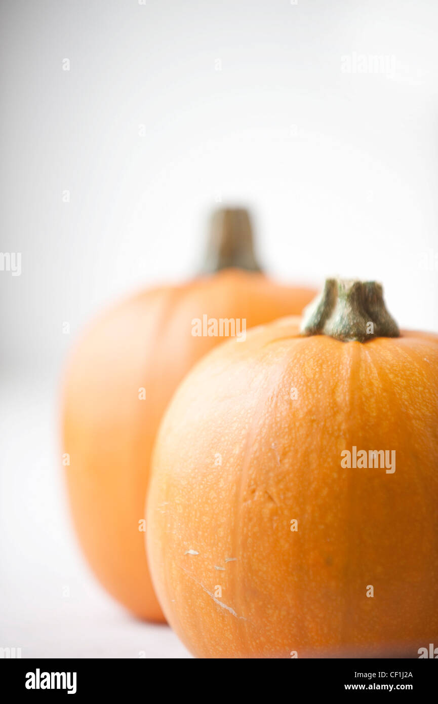 Due zucche arancione, su di una superficie bianca Foto Stock