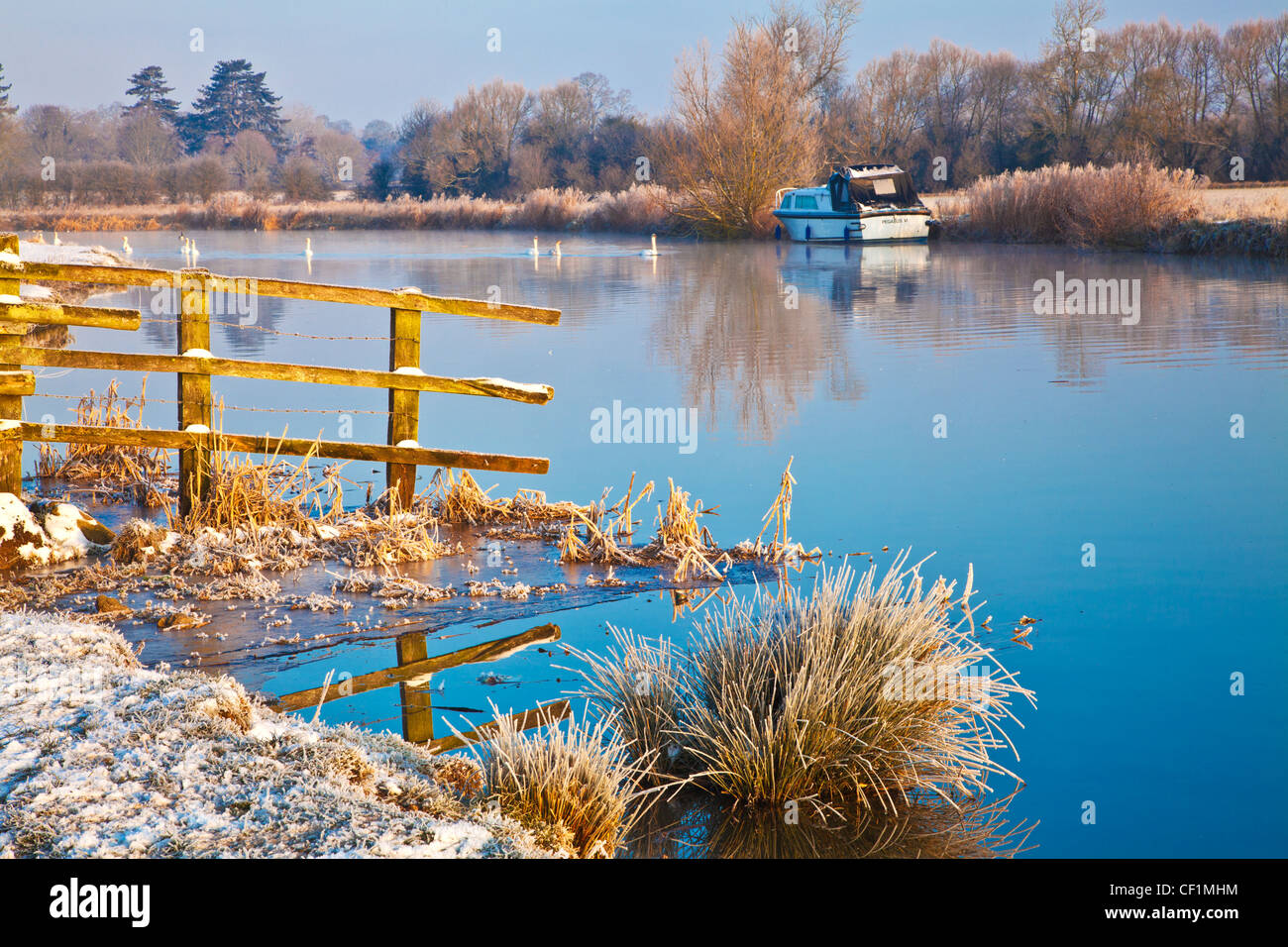 Un gelido Cotswold inverno mattina sul Fiume Tamigi a Lechlade, Gloucestershire, England, Regno Unito Foto Stock
