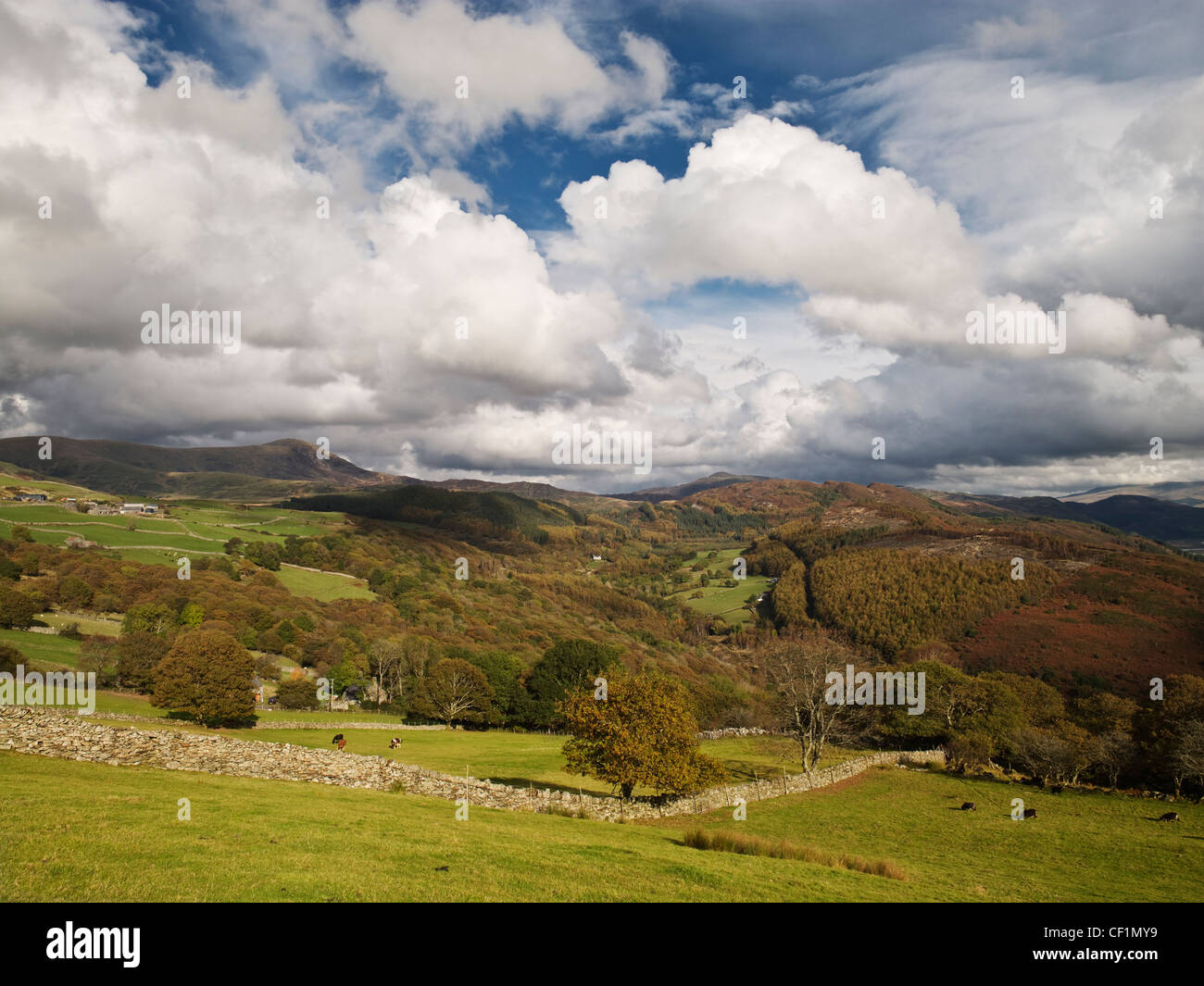 Vedute di terreni agricoli per le montagne del sud della Snowdonia. Foto Stock