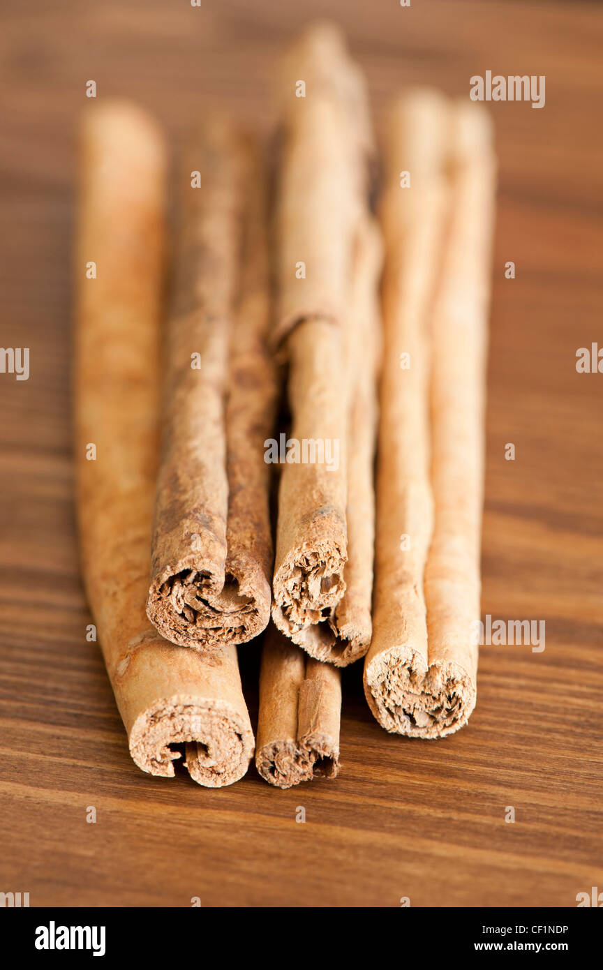 Bastoncini di cannella, Cinnamomum verum Foto Stock