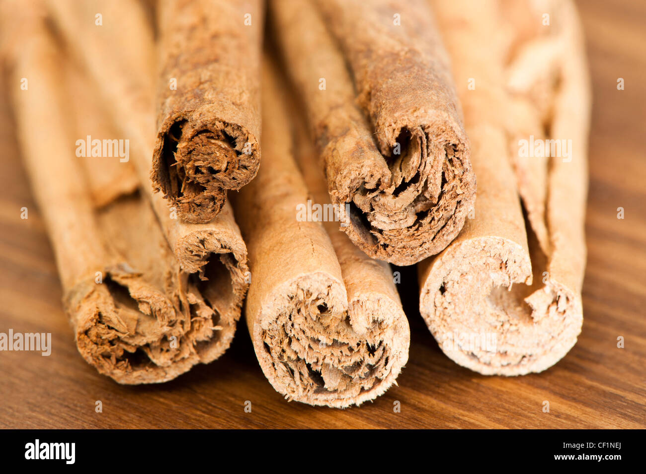 Bastoncini di cannella, Cinnamomum verum Foto Stock