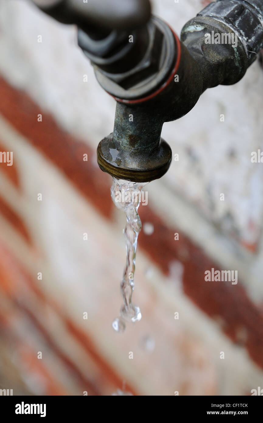 Giardino esterno rubinetto di acqua England Regno Unito Foto Stock