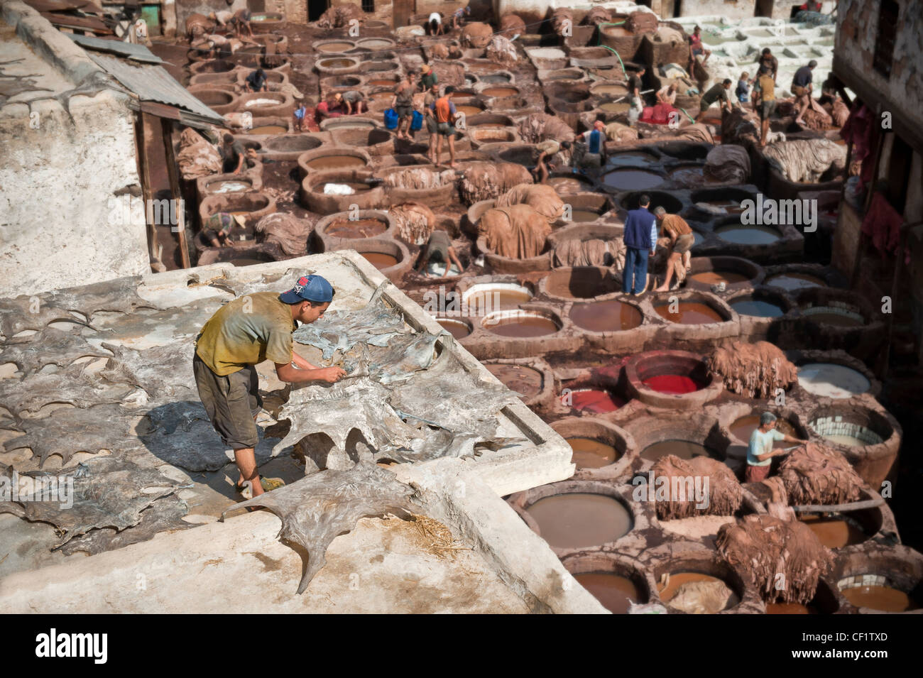 La gente al lavoro in cuoio Chouwara Conceria di Fez, Marocco Foto Stock