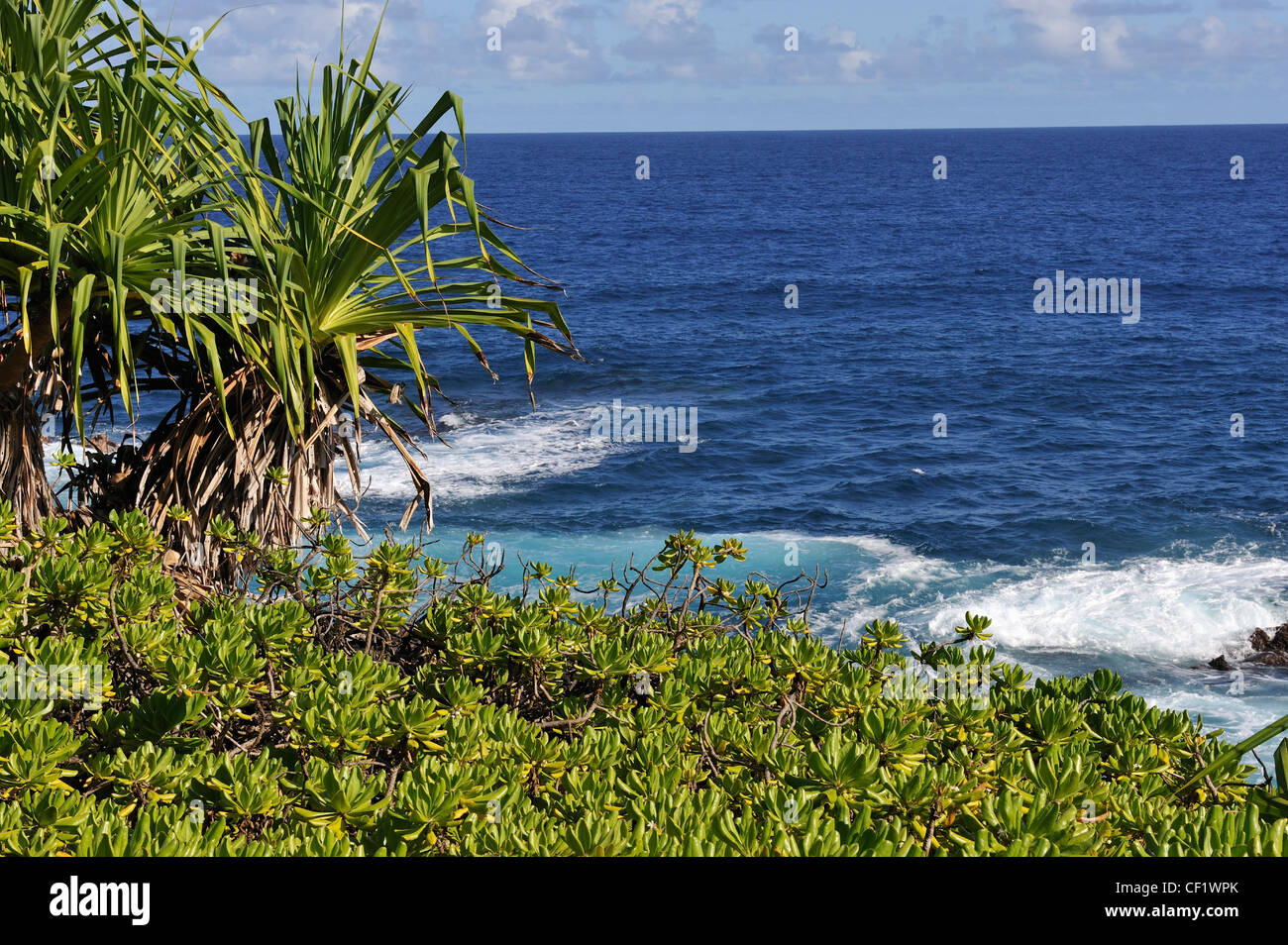Oceano Pacifico, Big Island, isole Hawaii, Stati Uniti d'America Foto Stock
