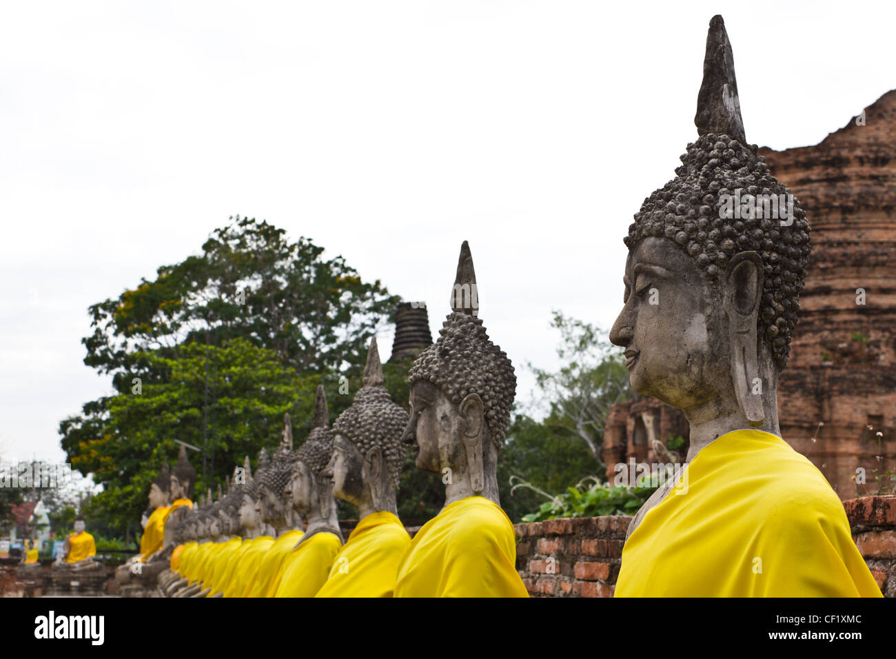 Fila di sacre immagini di Buddha in Ayutthaya, Thailandia Foto Stock