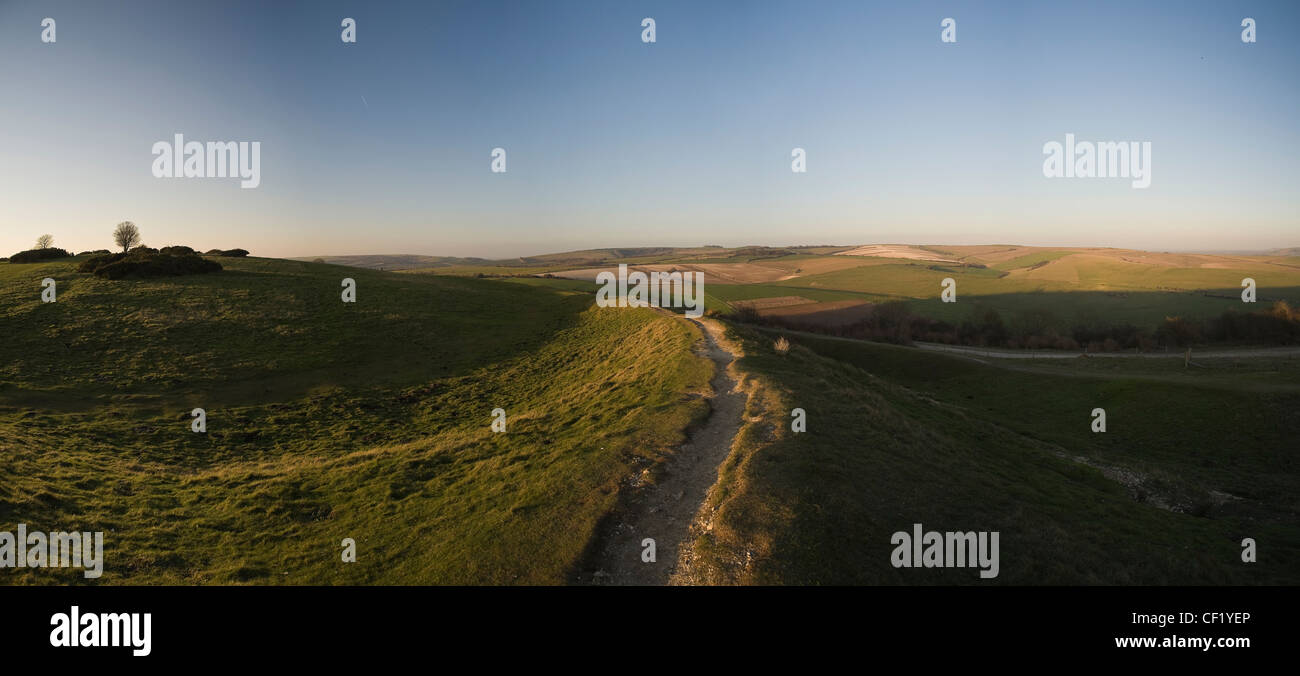 Bastioni orientali di anello Cissbury Iron Age Fort vicino a Worthing, West Sussex, Regno Unito Foto Stock