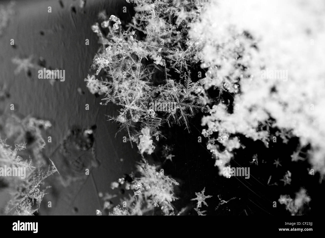 Foto macro di piccoli cristalli di neve. Ogni cristallo di neve è unica, non ci sono due lo stesso Foto Stock