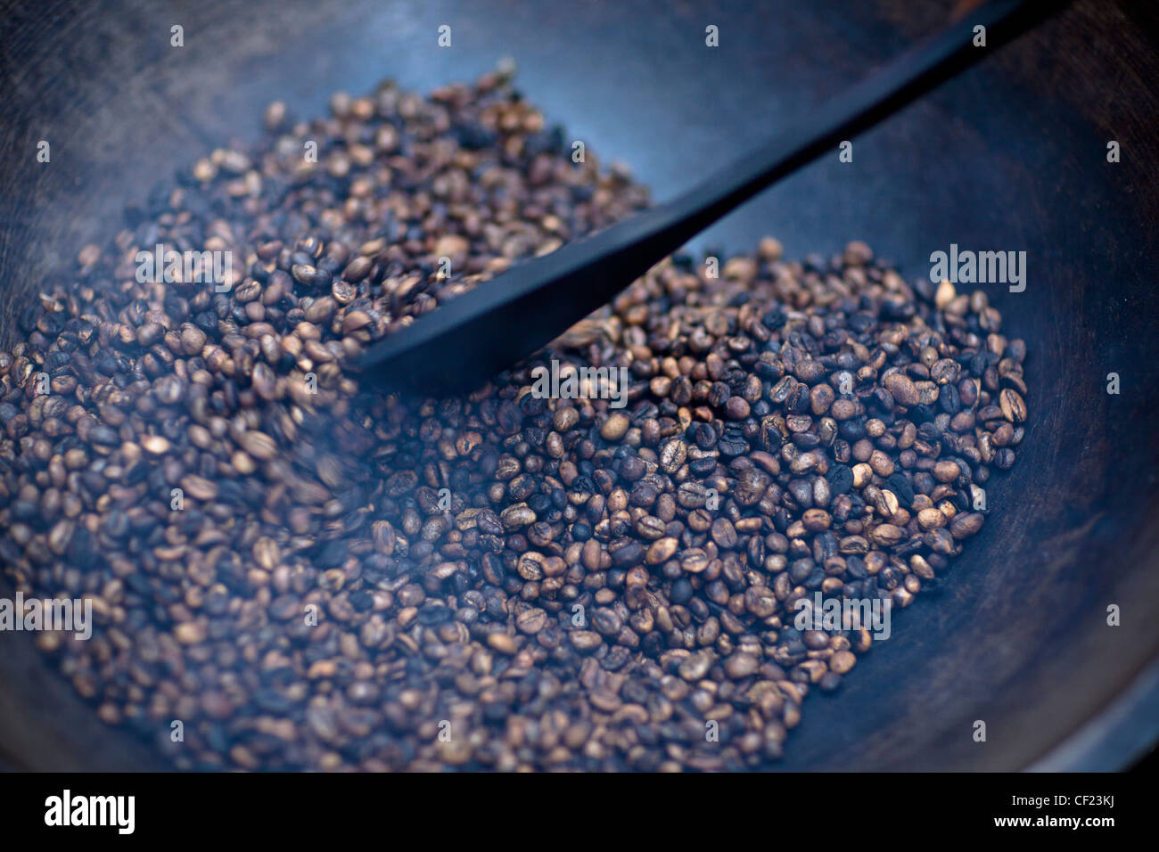 La tostatura i chicchi di caffè; Muara Pinang Sumatera Selatan Indonesia Foto Stock