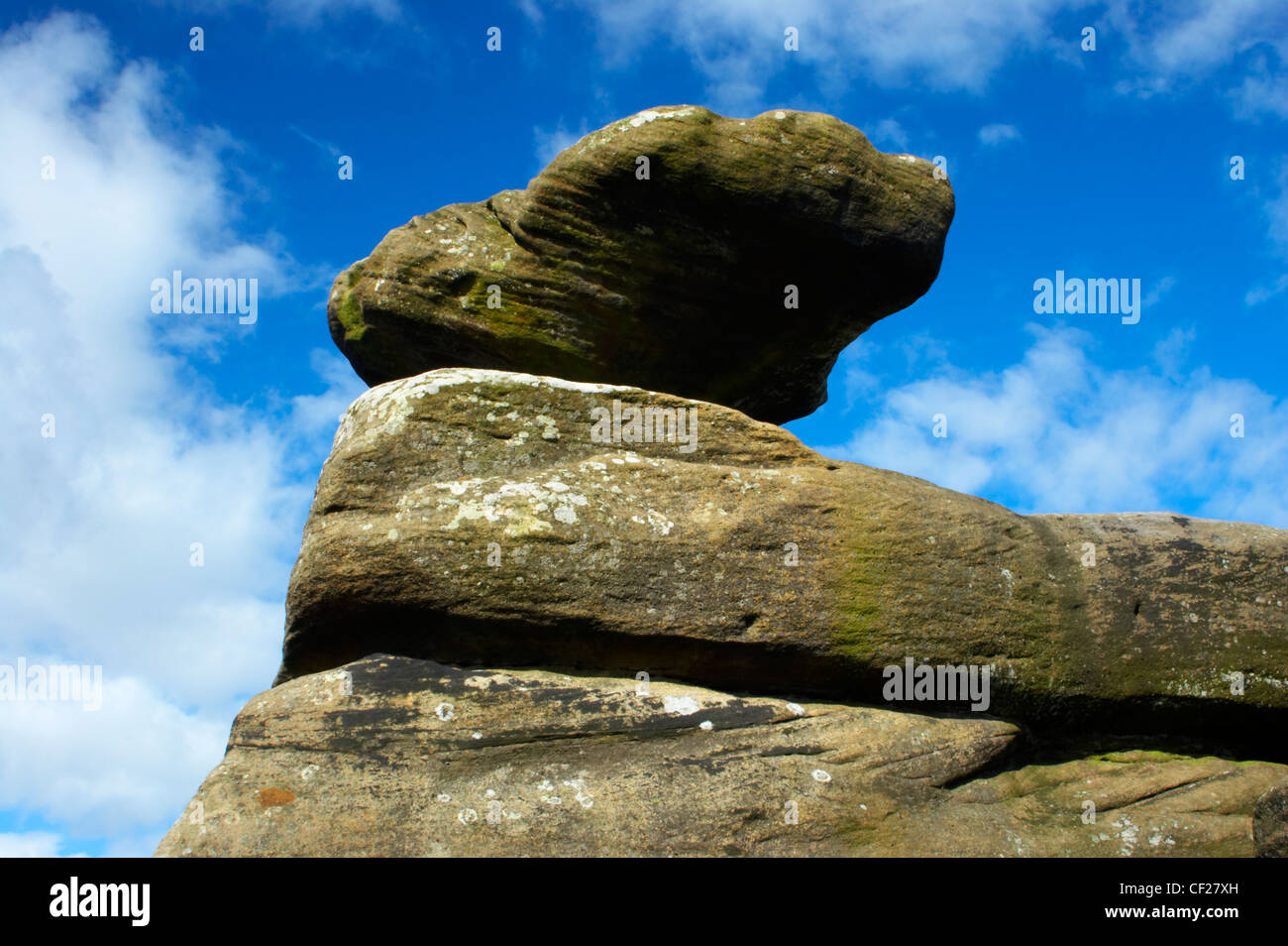 Uniche formazioni rocciose di Brimham Rocks trovate sparse per la selvaggia distesa di Brimham Moor. Foto Stock