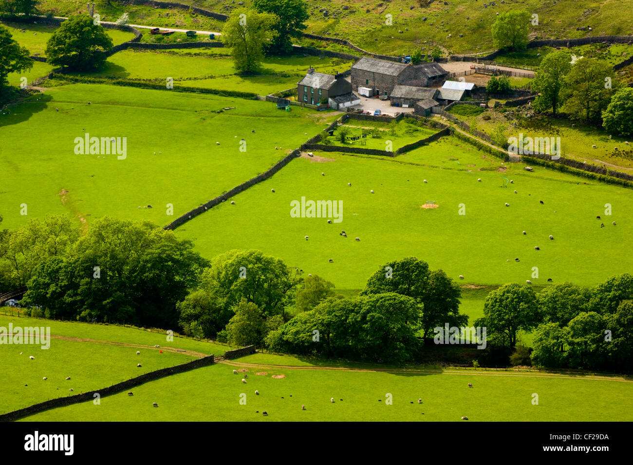 Parco Nazionale del Distretto dei Laghi. Azienda agricola e terreni agricoli in Eskdale, Western Lake District. Foto Stock