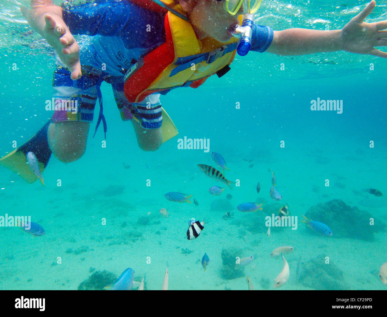 Giovani snorkeller e pesci tropicali, Malolo Lailai Island, Isole della Mamanuca, Figi e Sud Pacifico Foto Stock