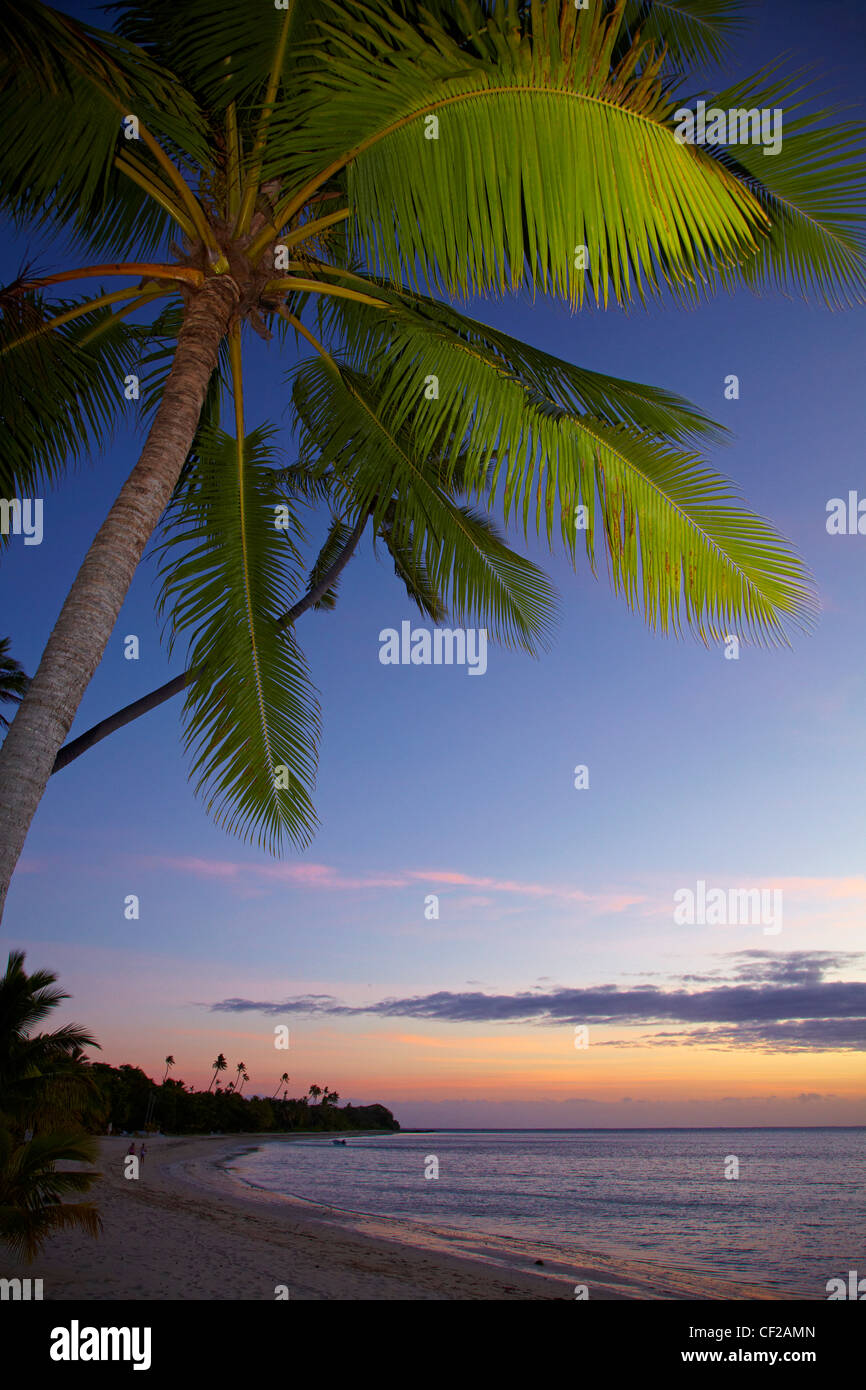 Palme e tramonto Malolo Lailai Island, Isole della Mamanuca, Figi e Sud Pacifico Foto Stock