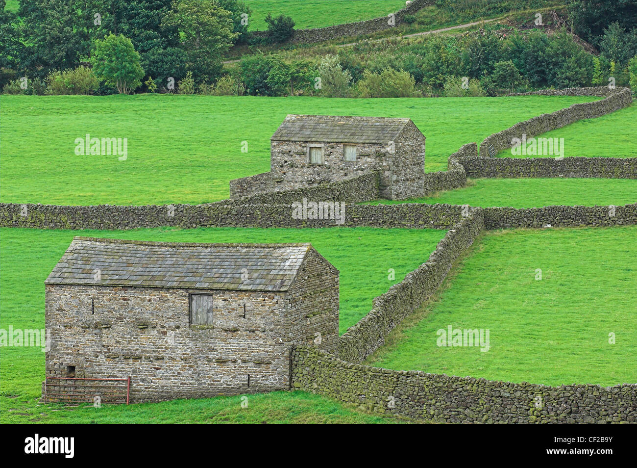 Enclosures england immagini e fotografie stock ad alta risoluzione Alamy
