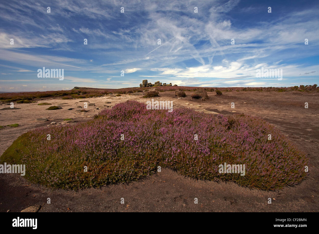 Il Wheelstones formazione di roccia sul bordo Derwent nel Parco Nazionale di Peak District. Foto Stock