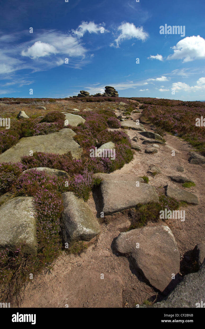 Wheelstones rock formazione dal punto di vista di un sentiero sul bordo Derwent nel Parco Nazionale di Peak District. Foto Stock