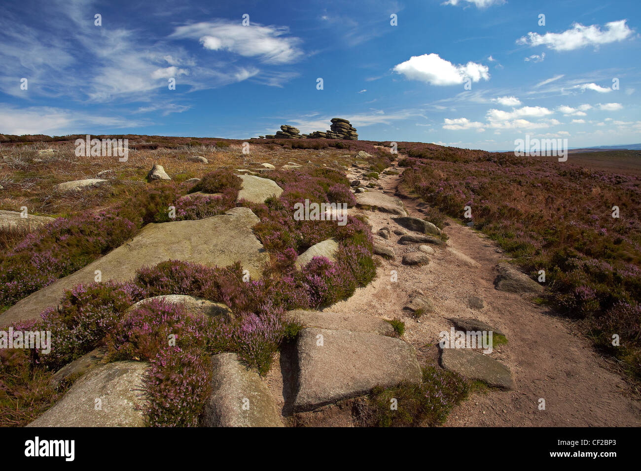 Wheelstones rock formazione dal punto di vista di un sentiero sul bordo Derwent nel Parco Nazionale di Peak District. Foto Stock