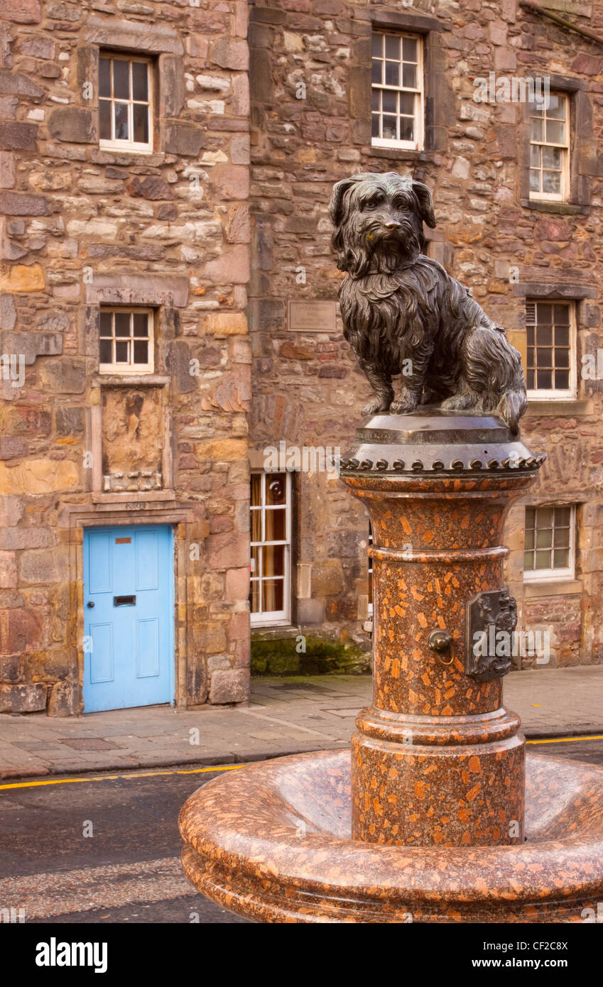 Statua di Greyfriars Bobby, il famoso fedele Skye Terrier che giacciono sulla tomba del suo Maestro Giovanni grigio per 14 anni dopo il suo de Foto Stock