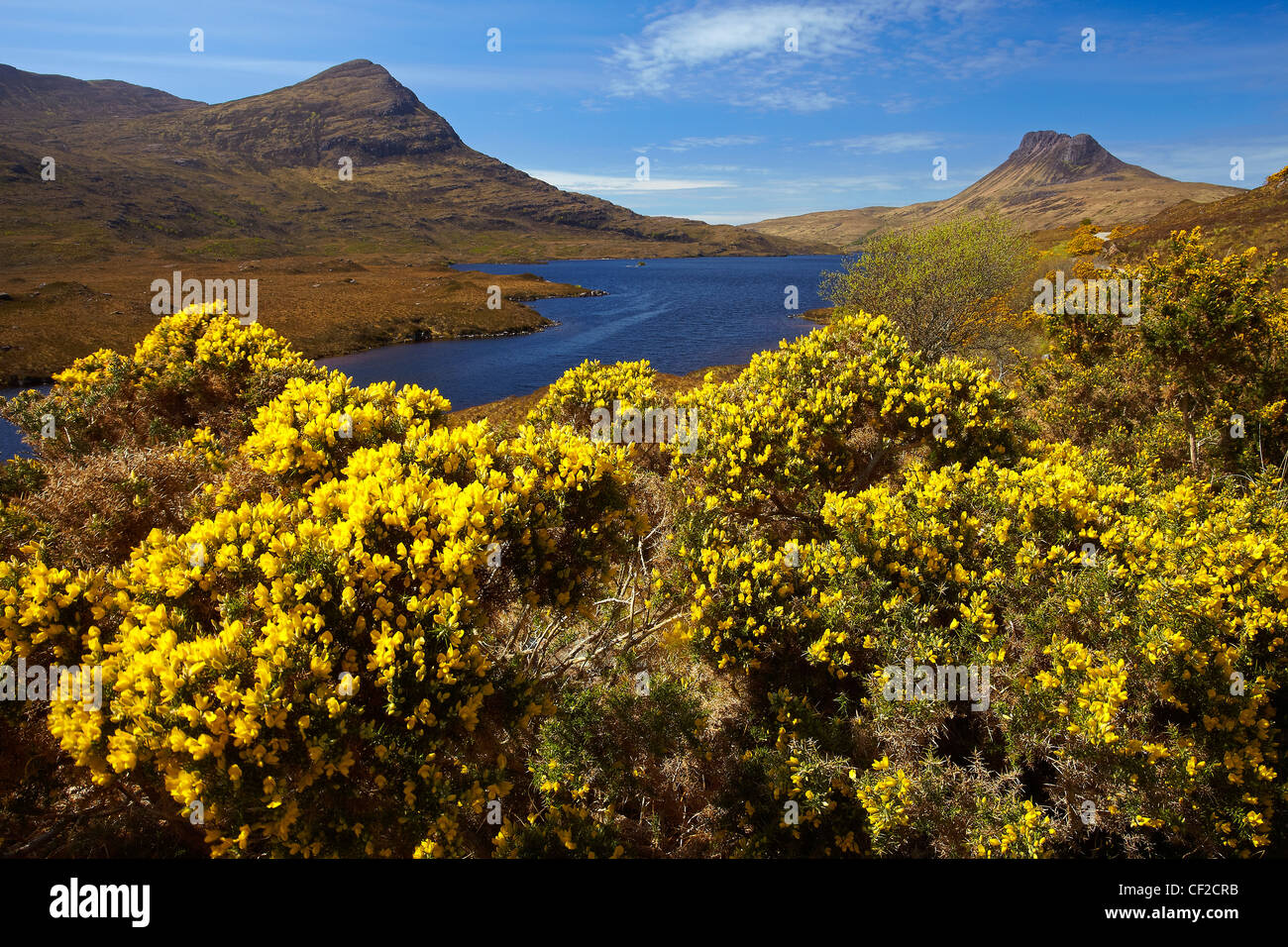 Vista sul Loch Lurgainn verso Stac Pollaidh o Stac Polly, nel nord-ovest Highlands della Scozia. Foto Stock