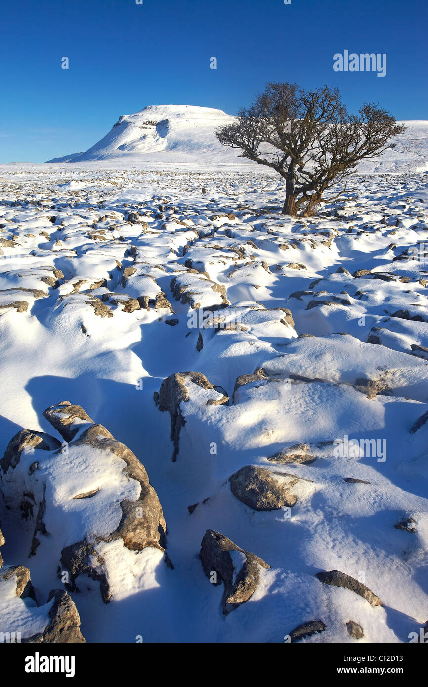 Vista invernale verso Ingleborough, uno del Yorkshire tre cime da bianco cicatrici, un ampio altopiano calcareo nel Yorkshire Foto Stock