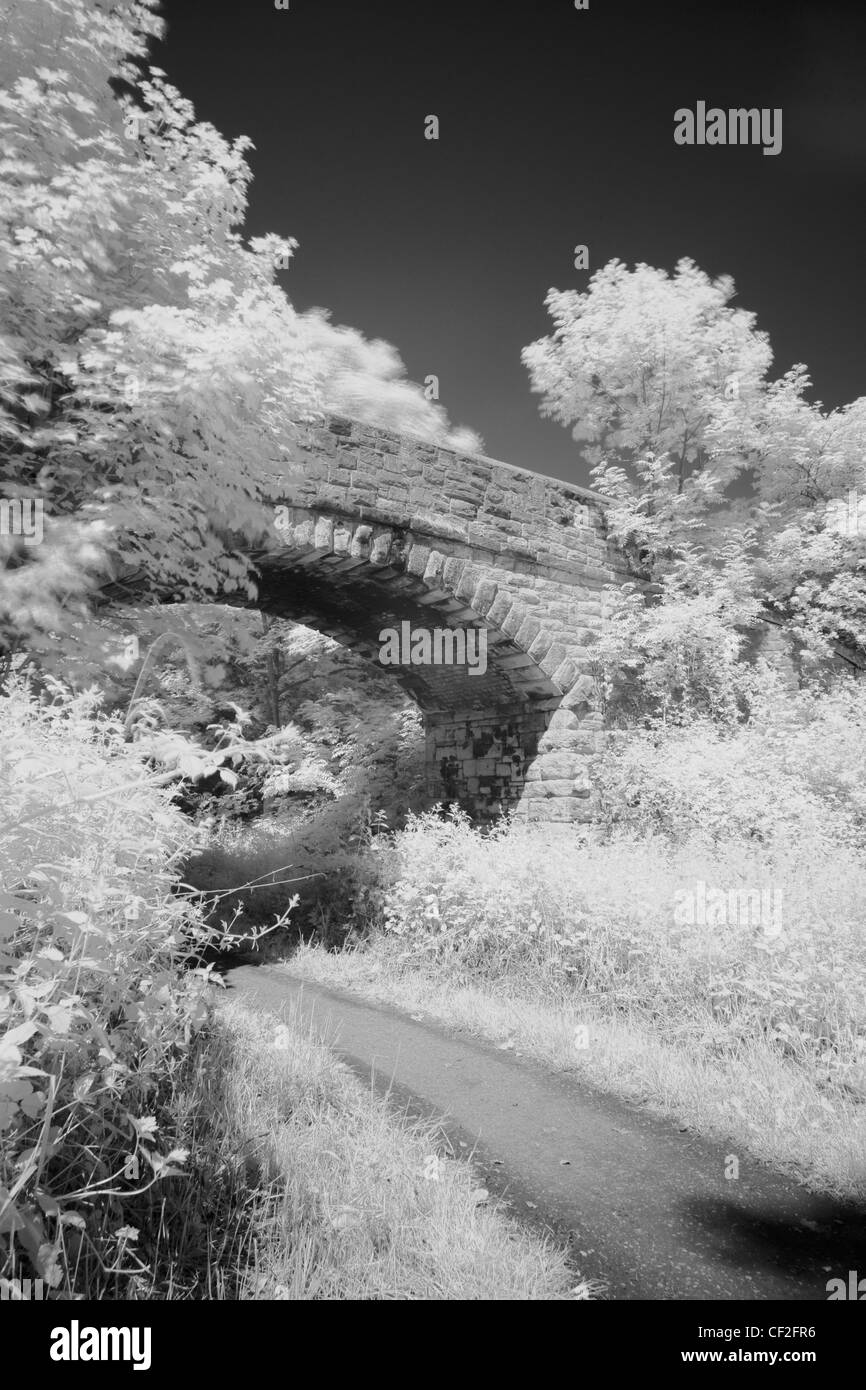 Pressione atmosferica in bianco e nero immagine di un ponte di pietra e il bosco in Holywell Dene vicino al confine di Northumberland. Foto Stock
