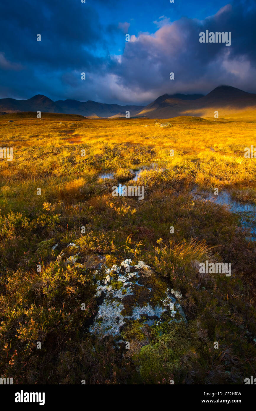 La mattina presto il sole sul Rannoch Moor con il picco dominante del Monte Nero in distanza. Foto Stock