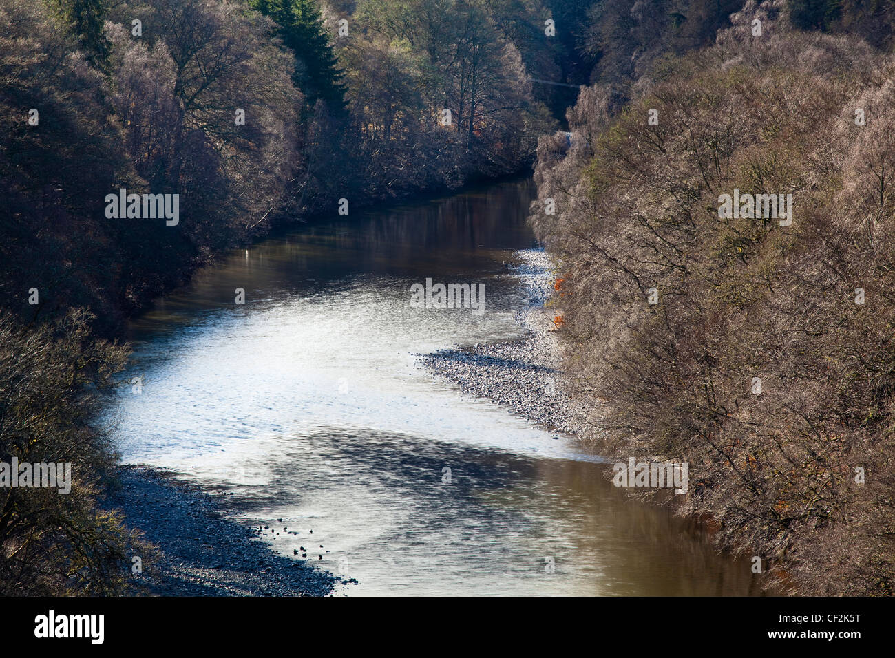 Il fiume Garry e bosco circostante, nei pressi del passo di Killiecrankie. Foto Stock